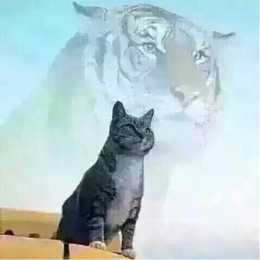 瓜瓜🎷