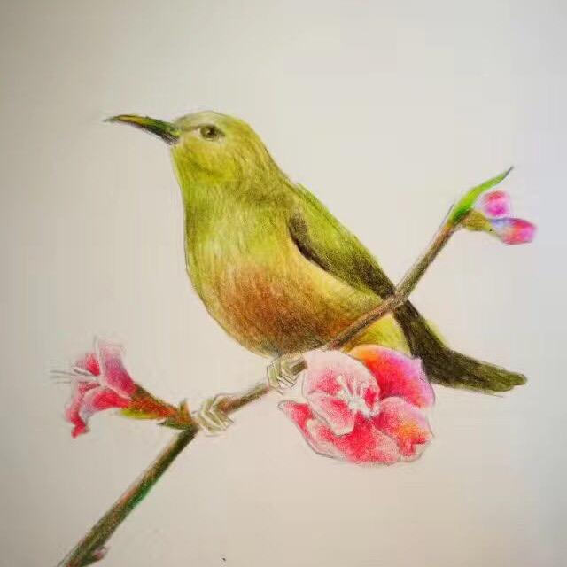 慧慧