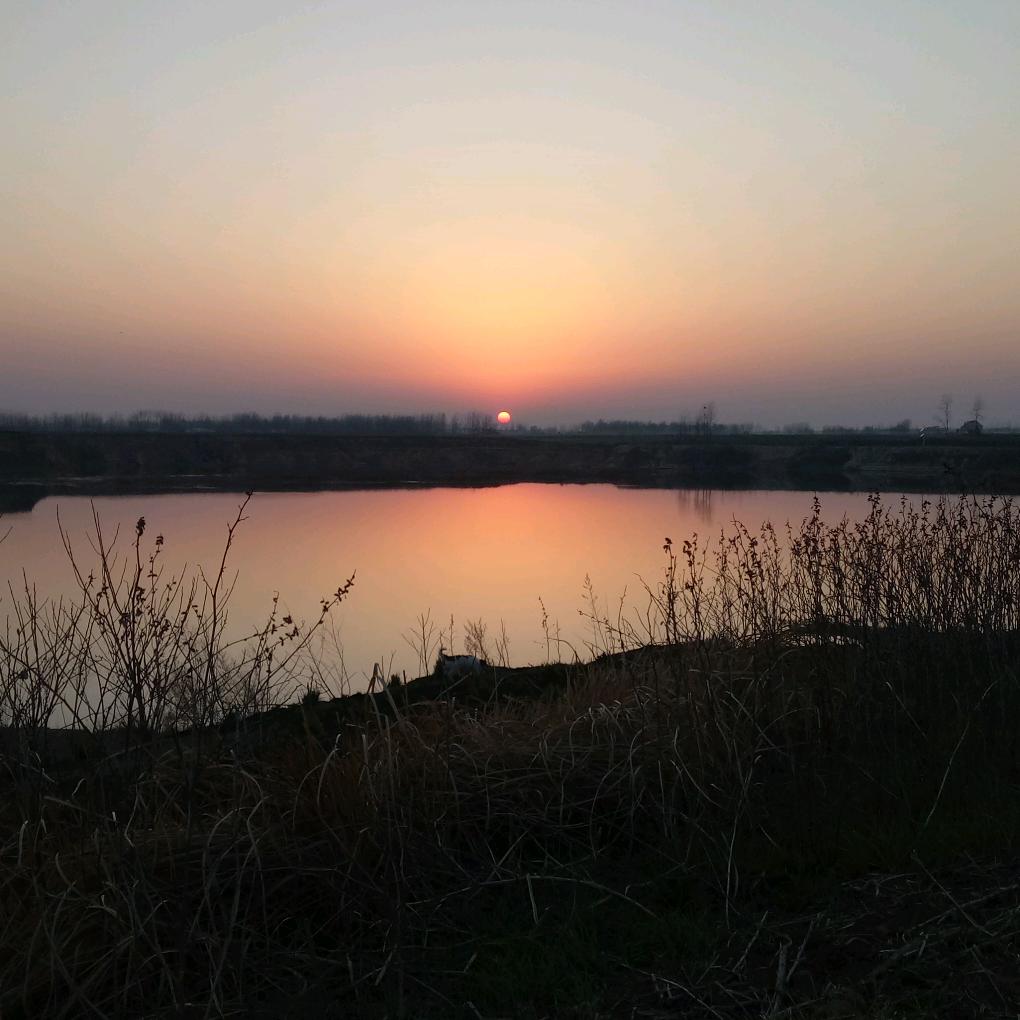 弃官务农