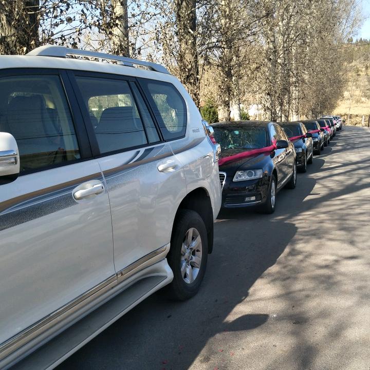 奥迪车队 彦军喜事策划