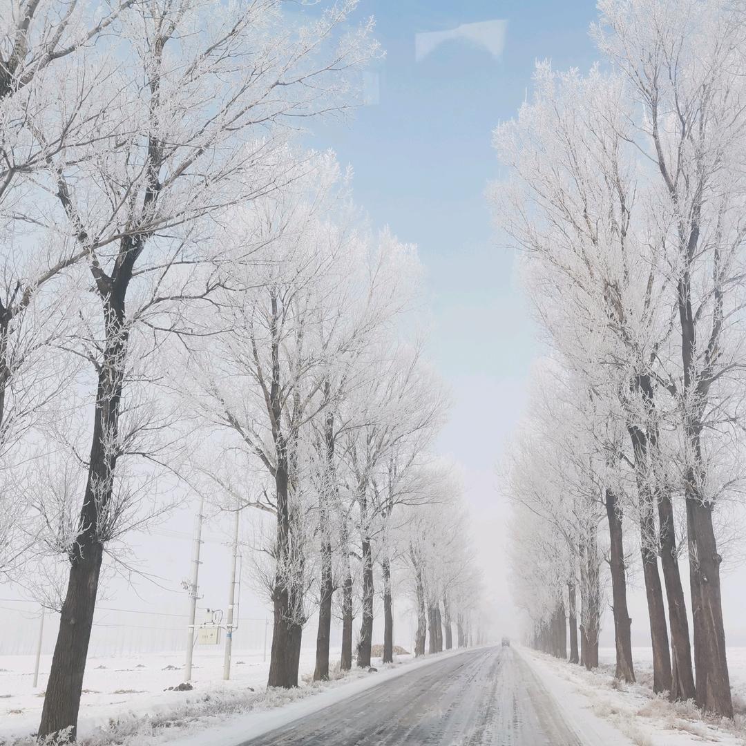 如影随形（互）