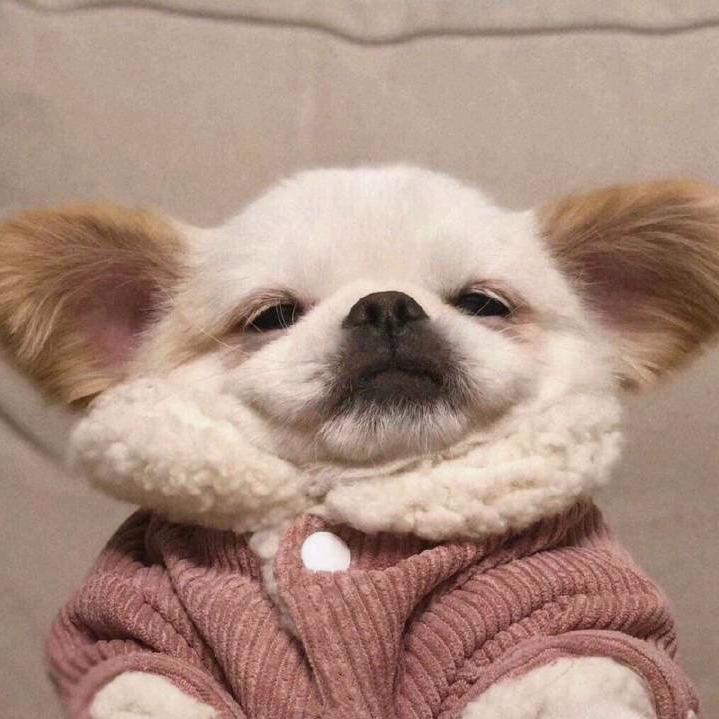 🧸～