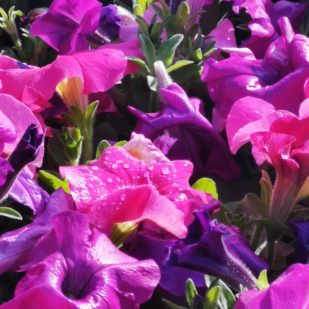 海纳百川   厚德载物