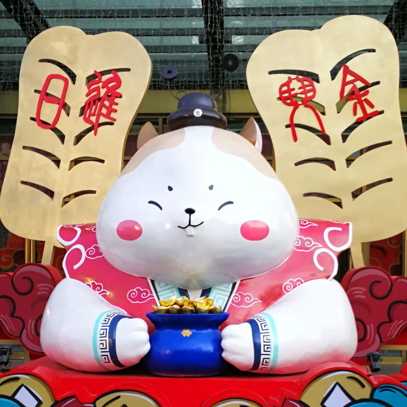 小白