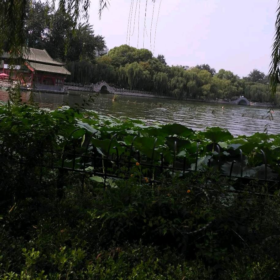 易安