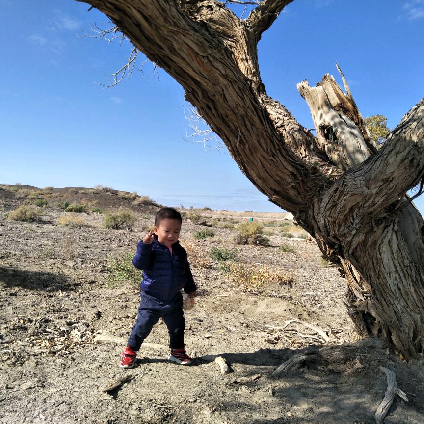 遂宁金街西门森铂快修（手机维修回收）