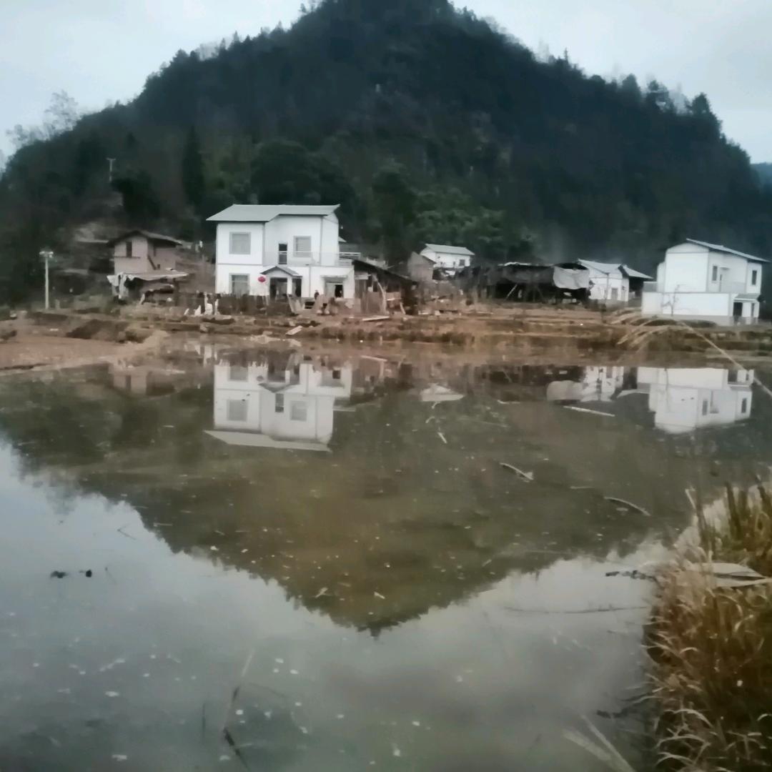 李建阳