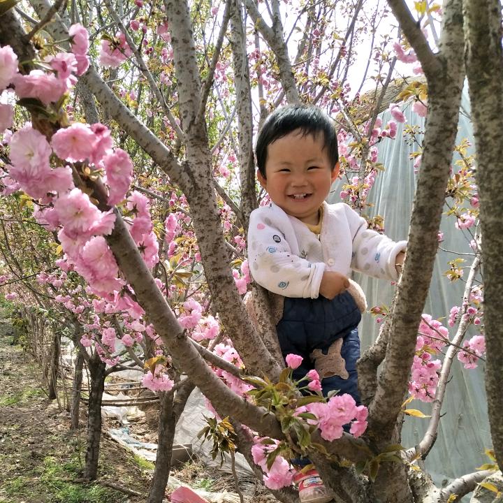 健康平安是福