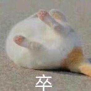 我下饭喂你吃