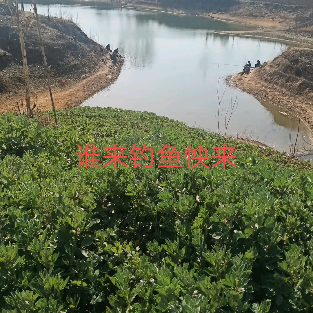 平安就好