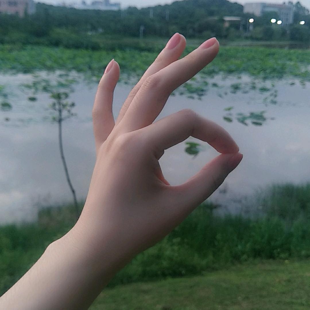 不寄长风