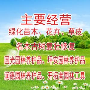 龙川园艺