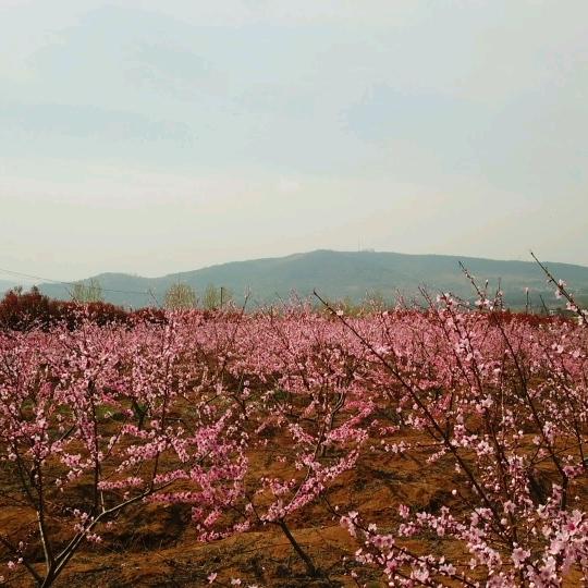 益清农庄