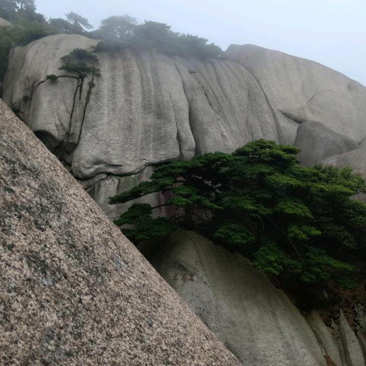 飞翔