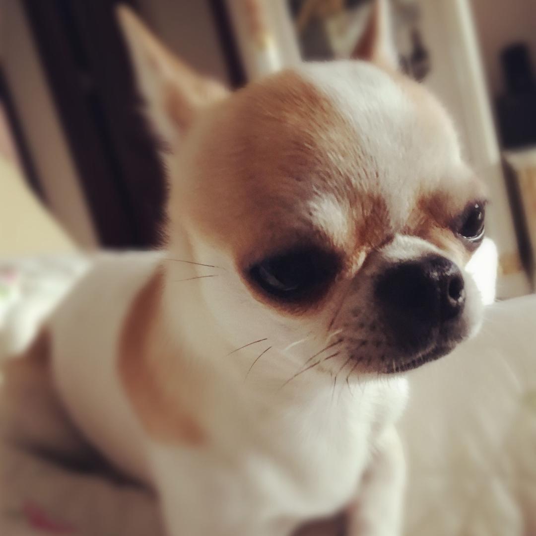 小璐纯子