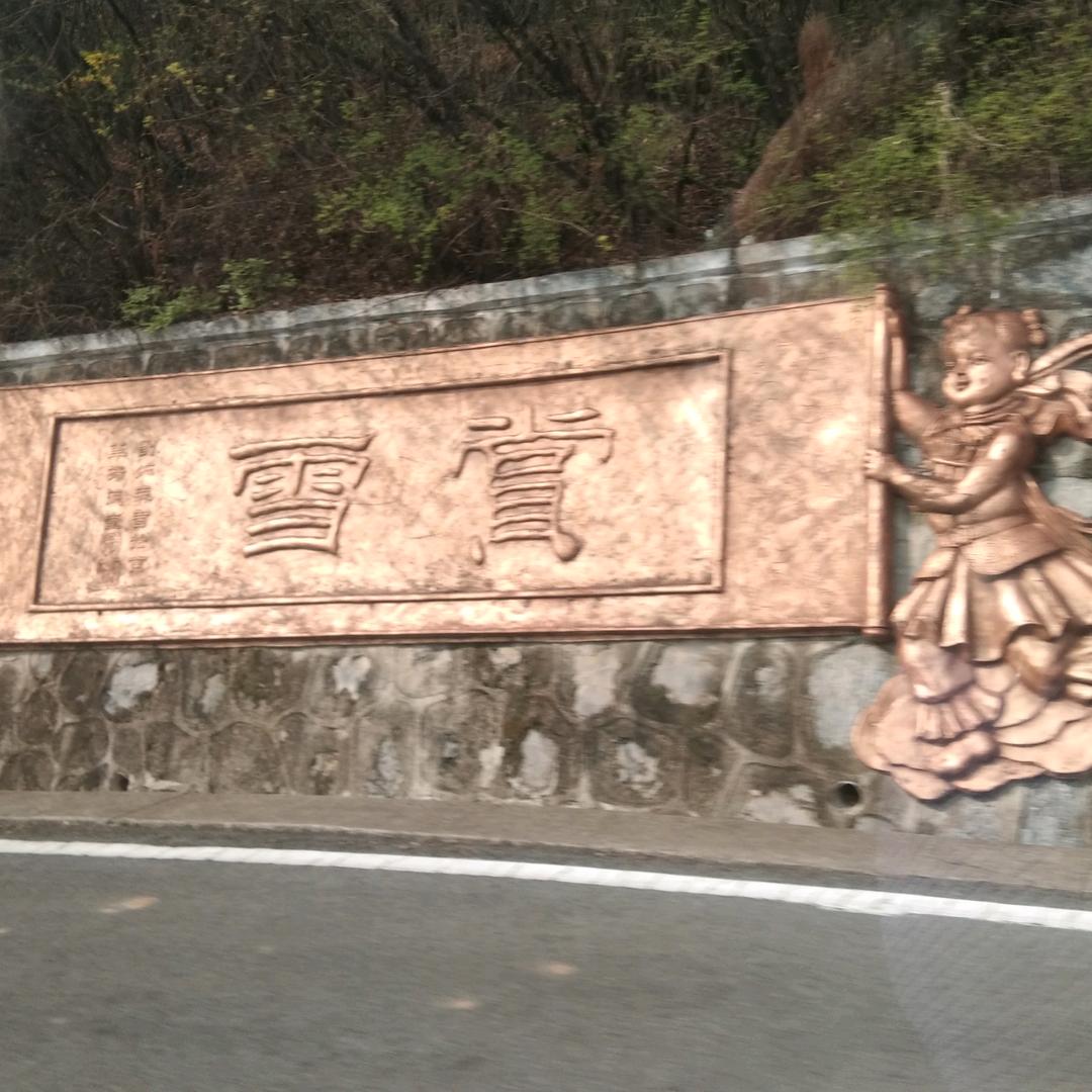 鱼
