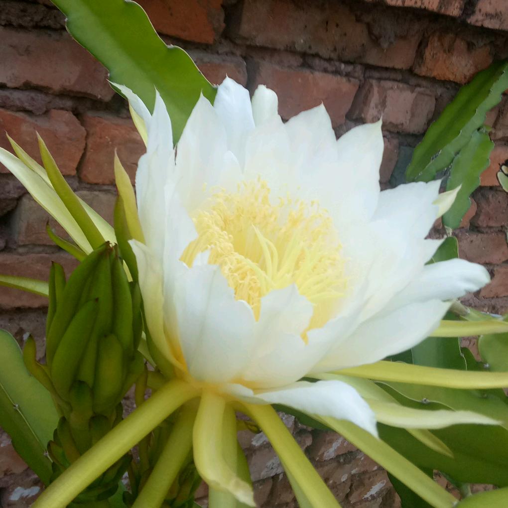 顺其自然🍀🍀🌷