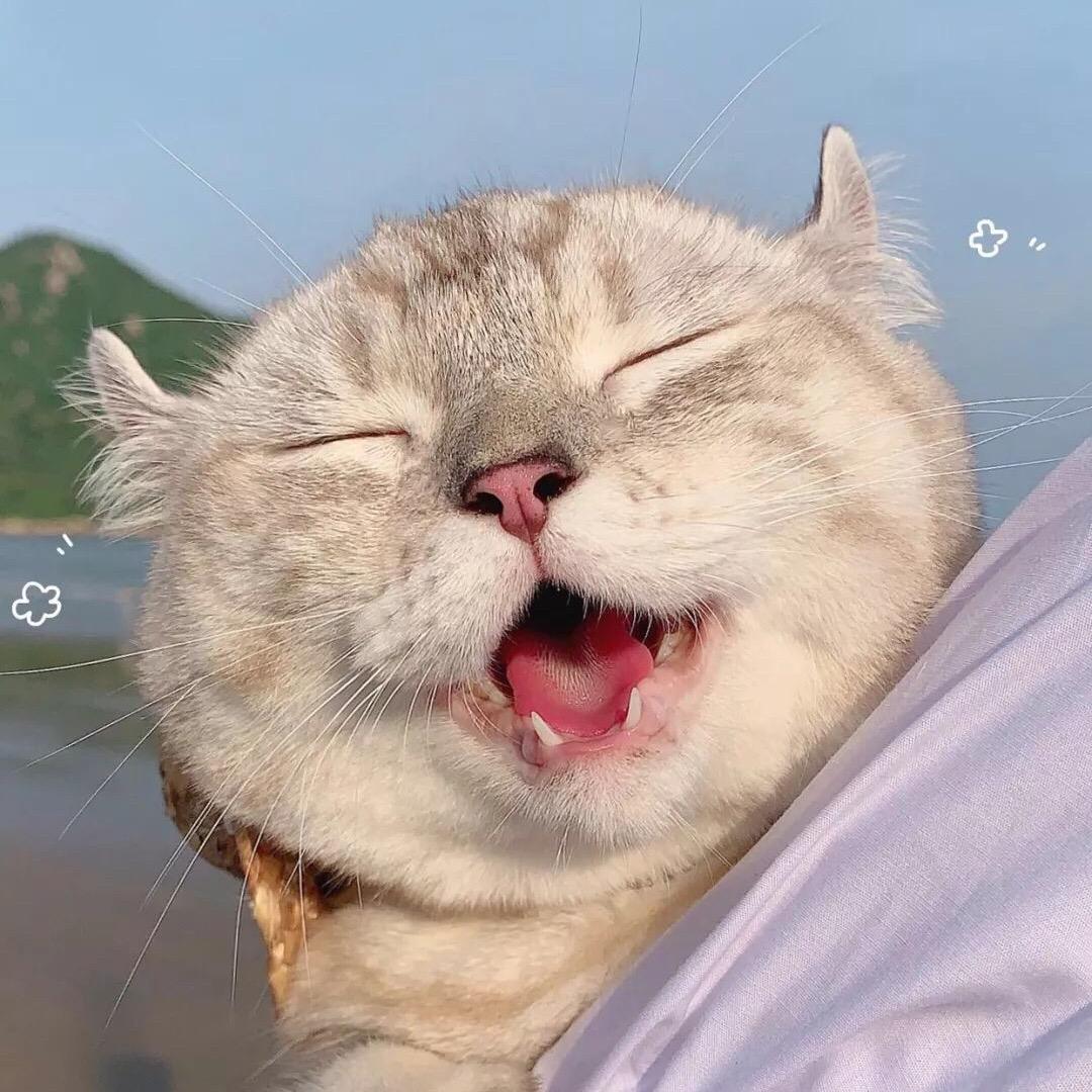 🌈H。