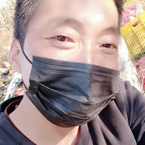 陕西王大宝