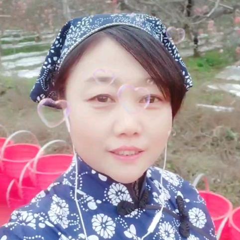 一剪梅(73年的🐮）