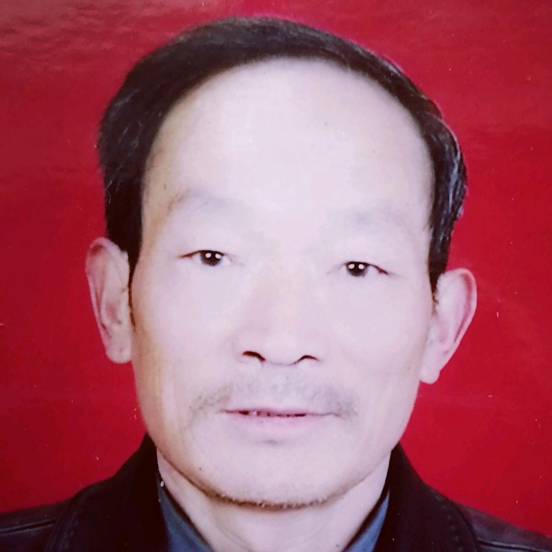 悟愚