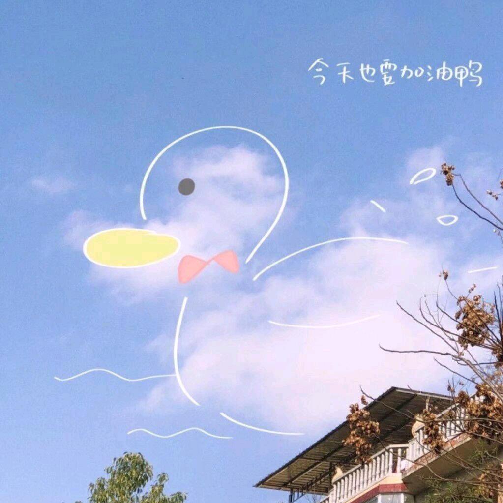 🌈光影