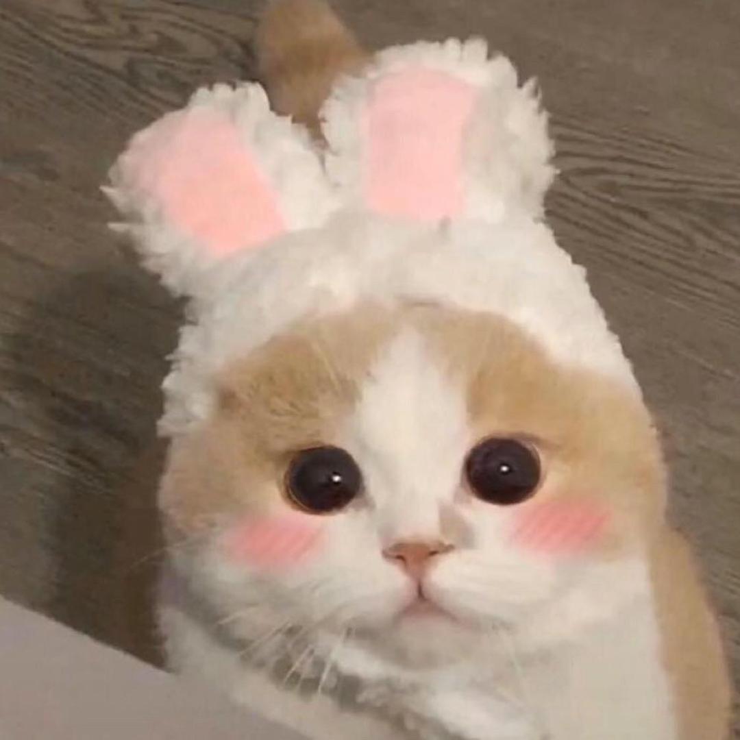 球球baby.