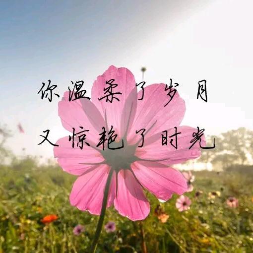 薰衣草