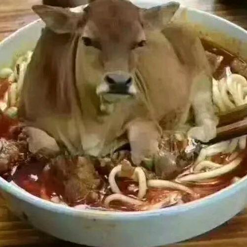 🌈随遇而安顺其自然