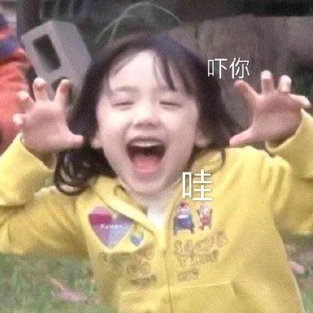 不及白露蒹葭