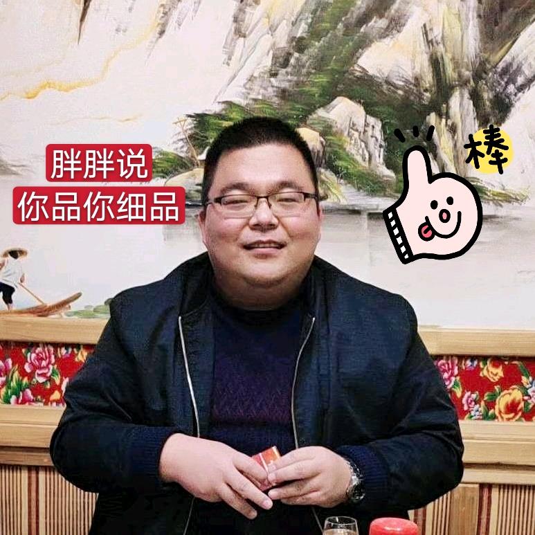 胖胖说