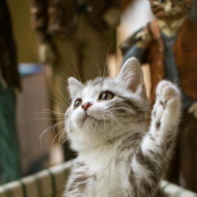 。。。。。。。。。。