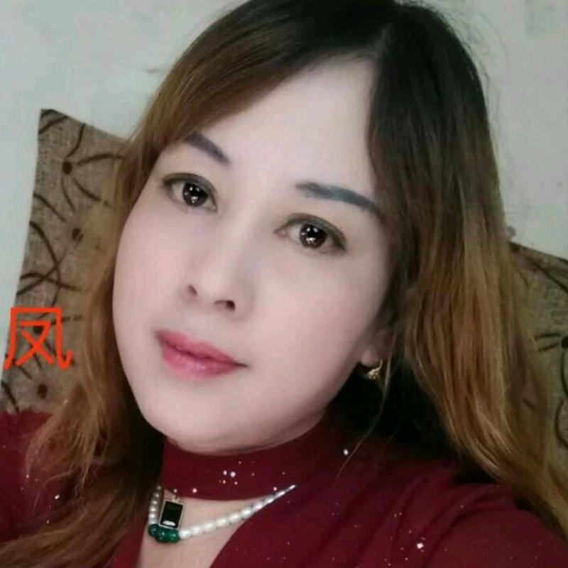 河南凤姐