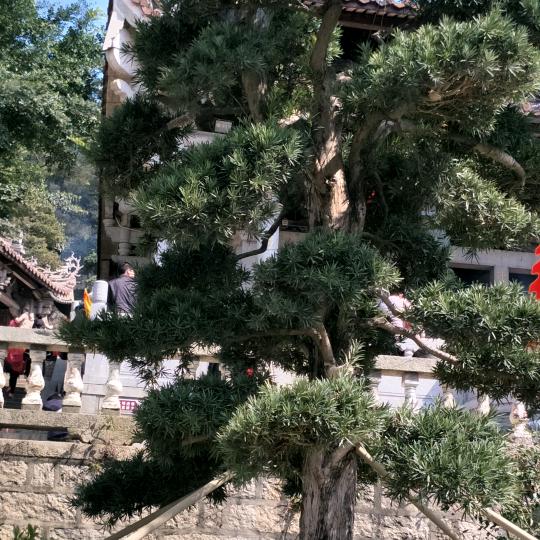彬哥