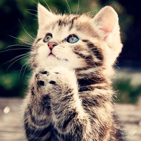 智能化控制老刘