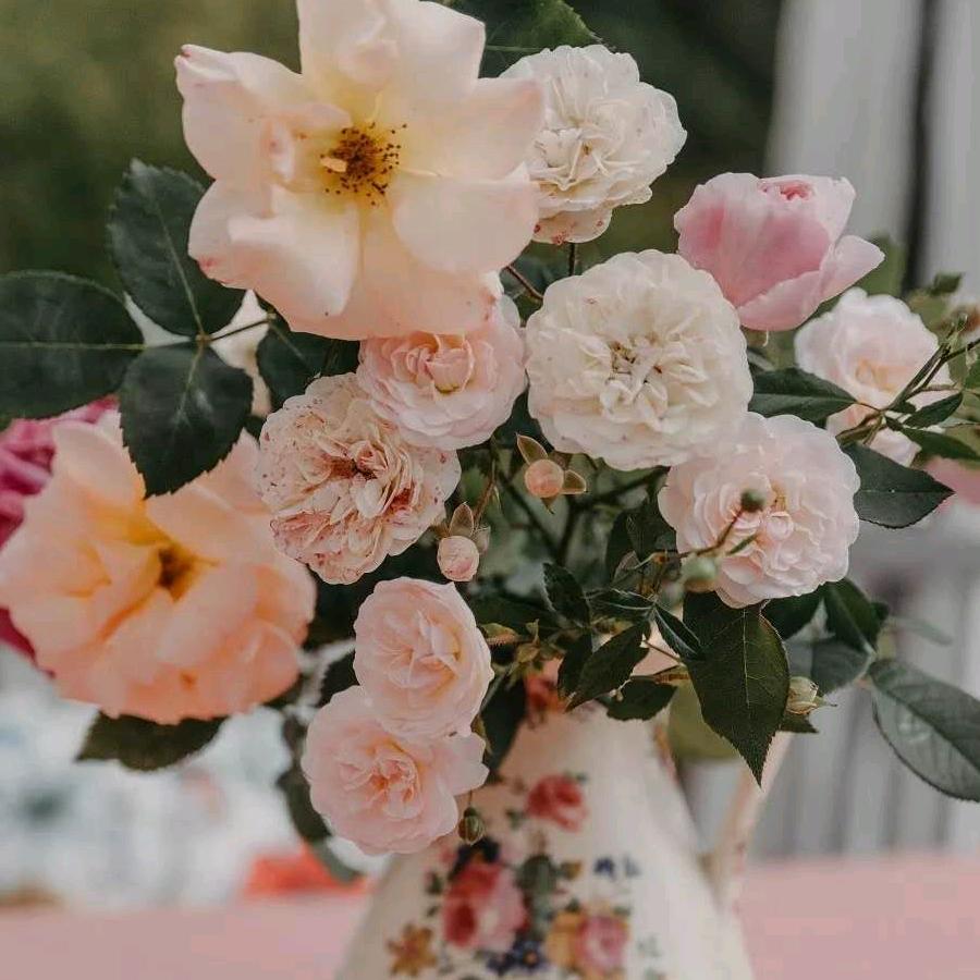 刘春秀💅💋💅