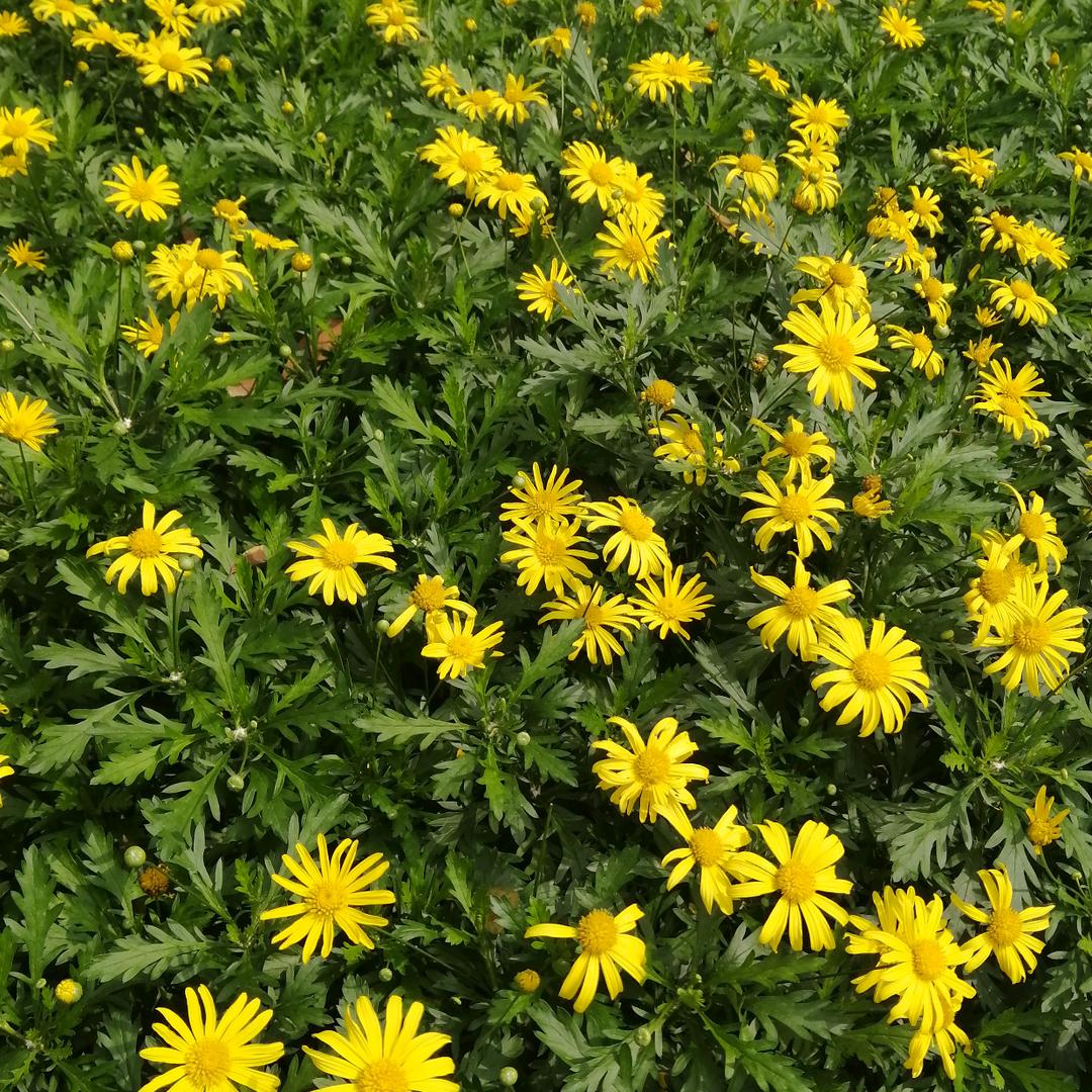 用户9842463734645幸福