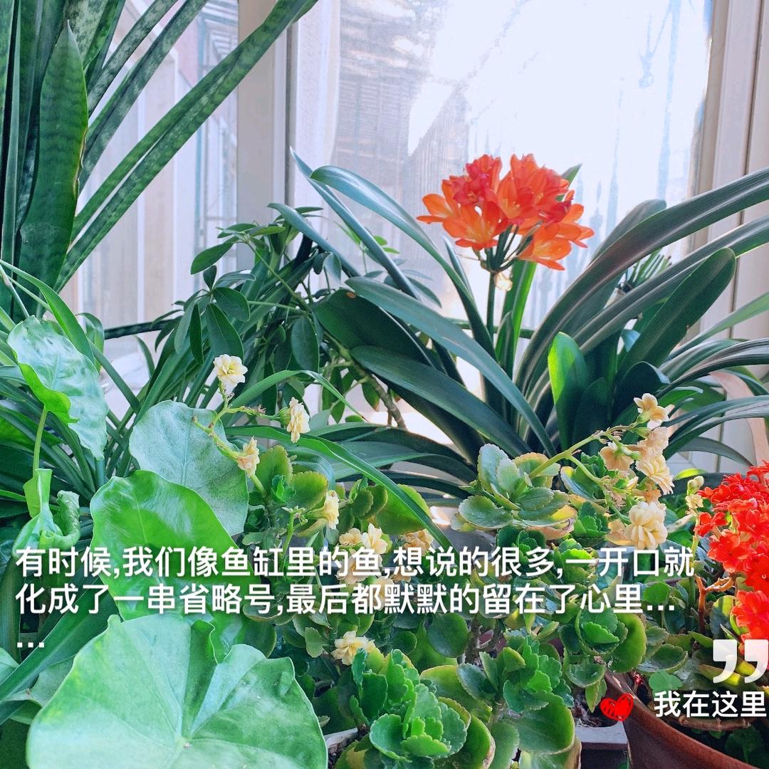 我叫王铁牛