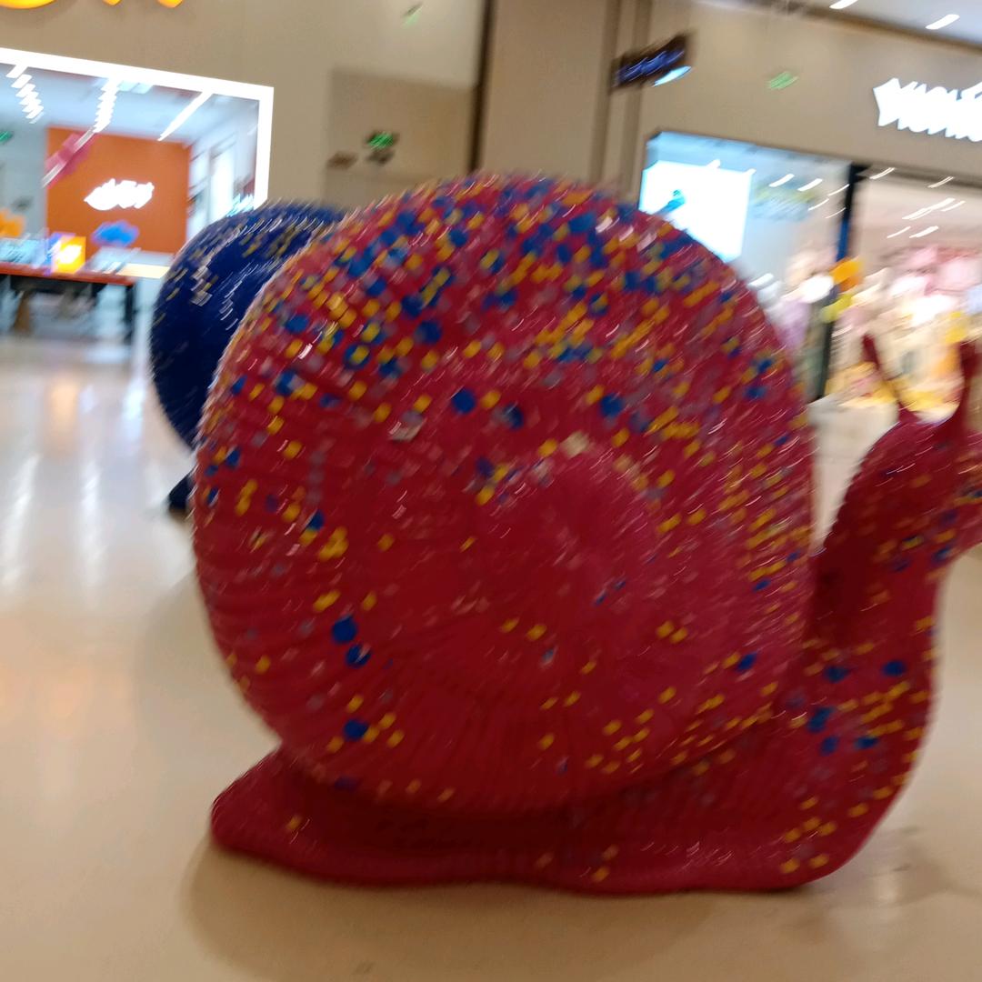 何先美