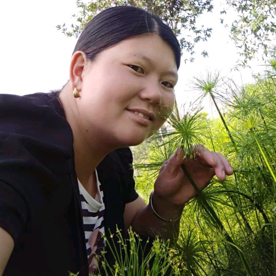 全家健康一辈子
