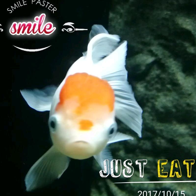 山寨风情
