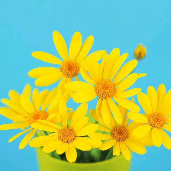 新航幼儿园王菲老师