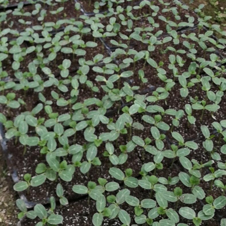 用户5073833556771健康第一