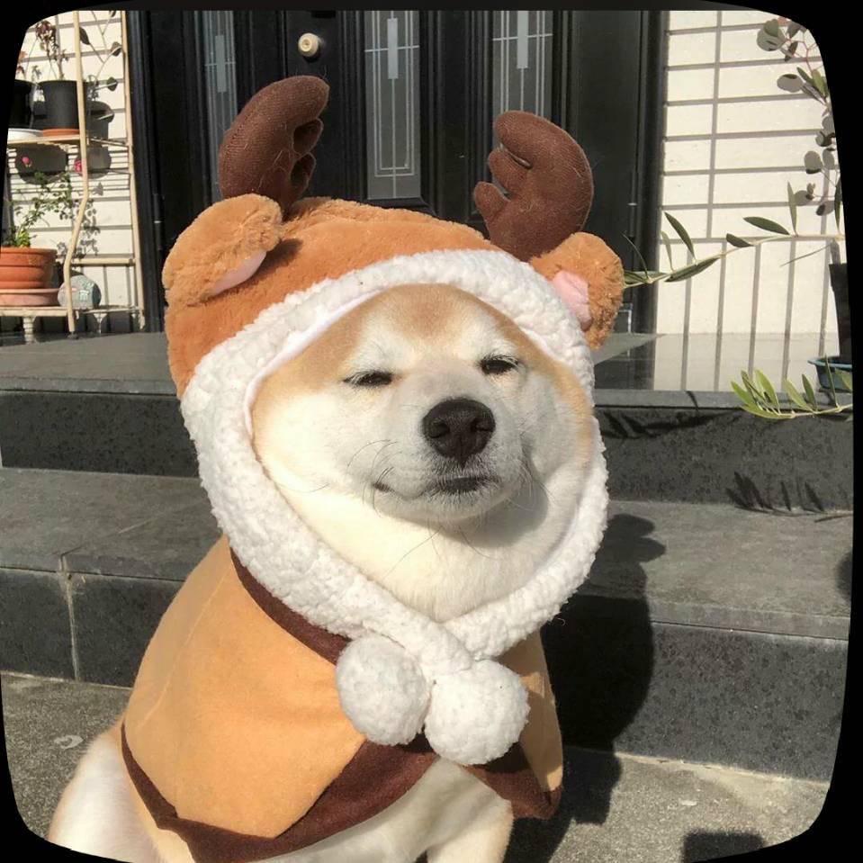 七年（炉石传说）
