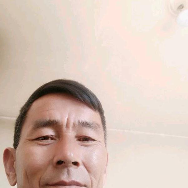 专业收购生猪交易伟哥