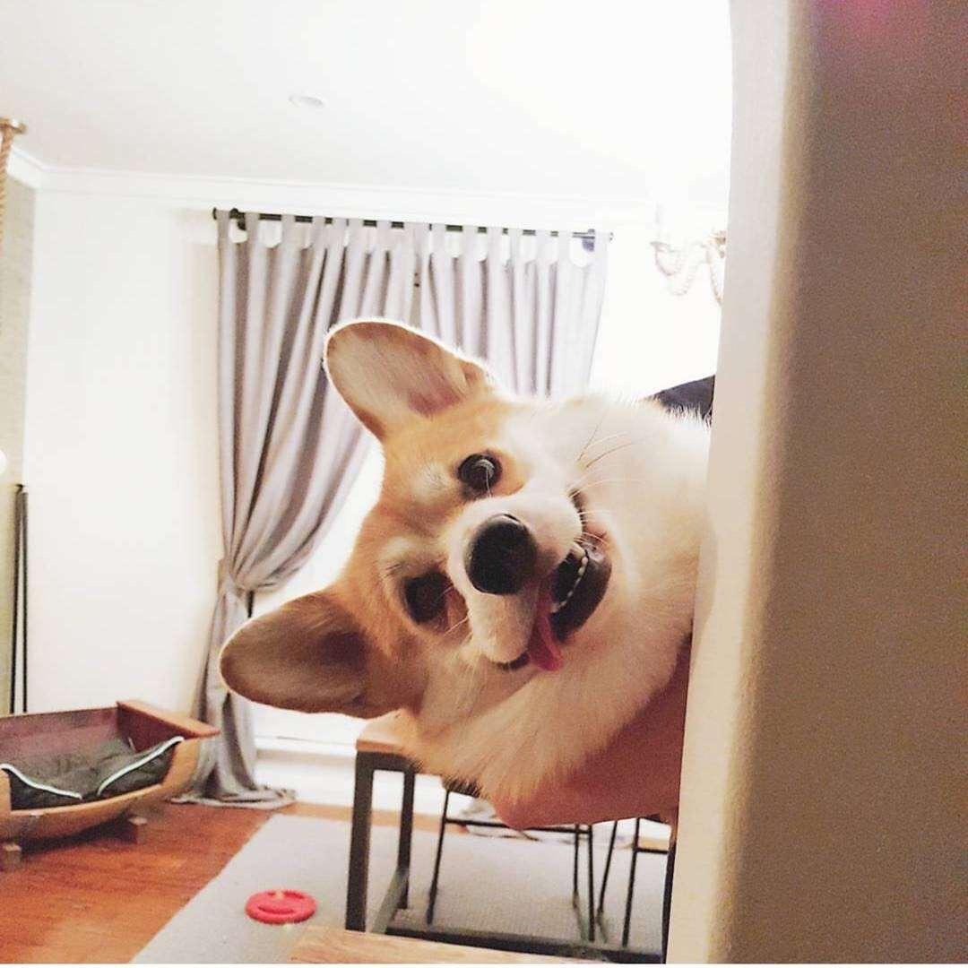 Cai👏
