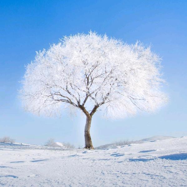 乐乐(´∀｀)就是你