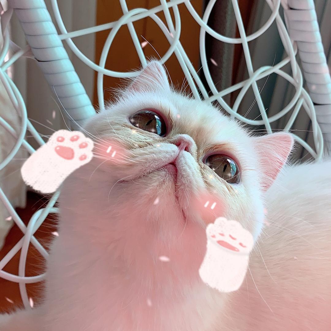 静听