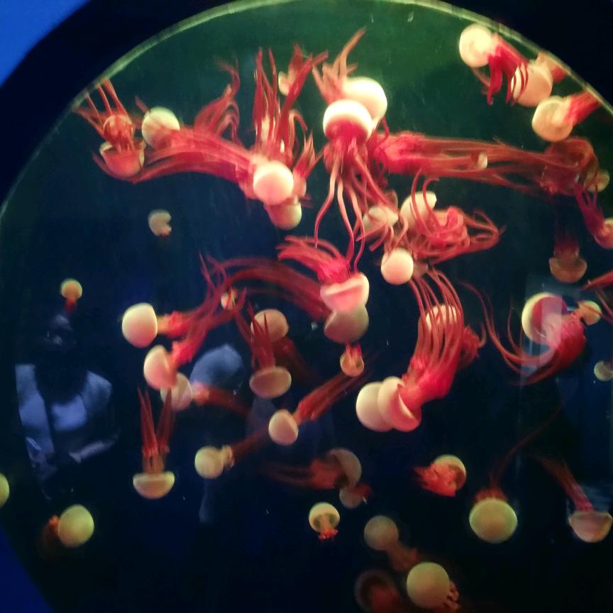 澄城旧衣服回收