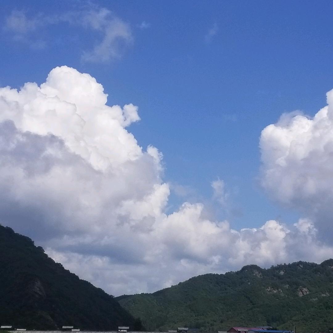 王者133